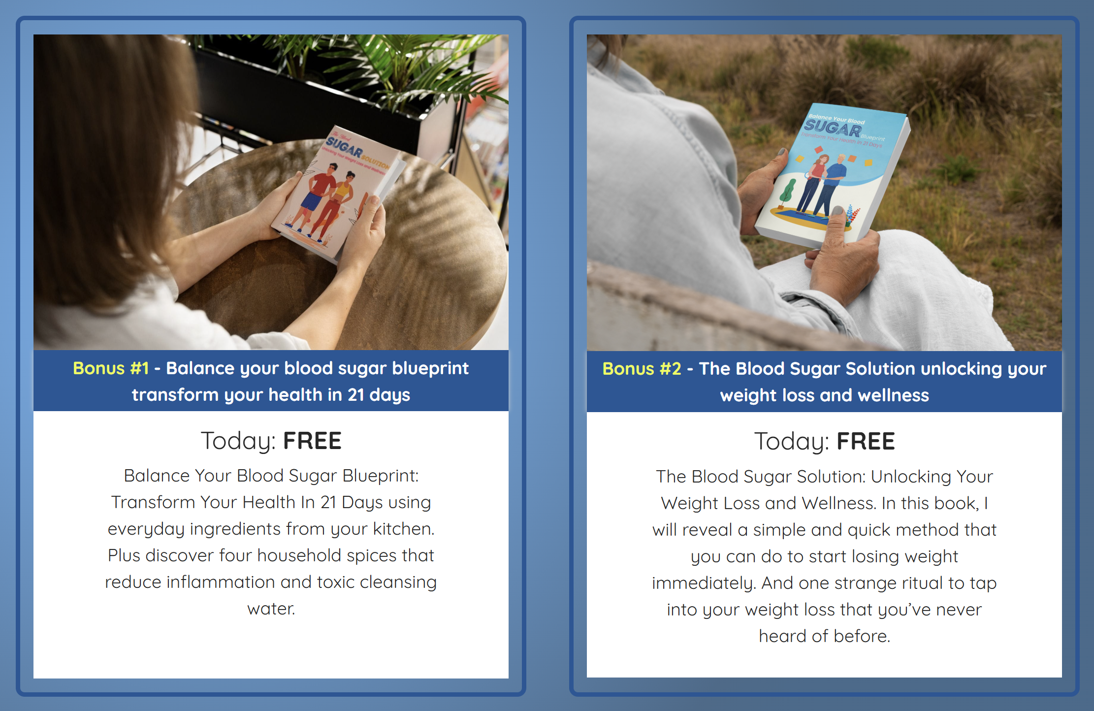 Bonus ebooks: Blood Sugar Solution and Blueprint